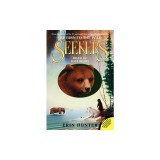 River of Lost Bears
