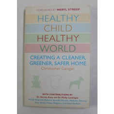 HEALTHY CHILD HEALTHY WORLD by CHRISTOPHER GAVIGAN , 2008
