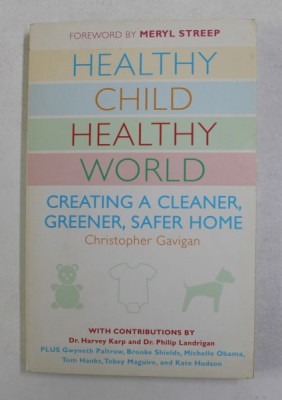 HEALTHY CHILD HEALTHY WORLD by CHRISTOPHER GAVIGAN , 2008 foto