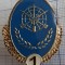 insigna specialist de clasa rachete.