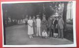 C&acirc;mpulung Muscel Gradina Publica 1935, trei fotografii, Alb-Negru, Romania 1900 - 1950, Natura