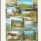 RF15 -Carte Postala - Valea Prahovei, circulata 1970