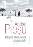 Cumpara ieftin Despre frumusetea uitata a vietii. Editia a IV-a/Andrei Plesu
