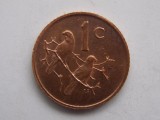 1 CENT 1971 AFRICA DE SUD-XF