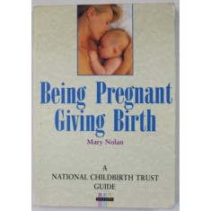 BEING PREGNANT , GIVING BIRTH by MARY NOLAN , 1996