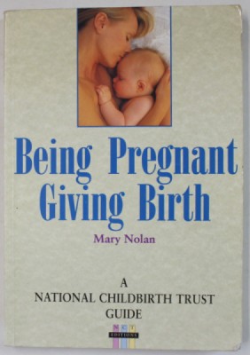 BEING PREGNANT , GIVING BIRTH by MARY NOLAN , 1996 foto