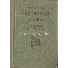 Exkursionsflora Von Deutschland III - Werner Rothmaler