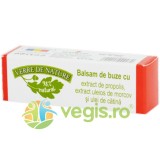 Balsam de Buze cu Propolis 4.8g