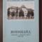 Nestor Lupei; Romulus Neagu - Monografia Liceului Avram Iancu, Brad 1869-1969