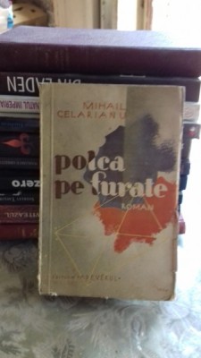 POLCA PE FURATE - MIHAIL CELARIANU foto