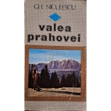 Gh. Niculescu - Valea Prahovei (Editia: 1984)
