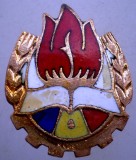 II.195 ROMANIA INSIGNA PIONIERI PIONIER