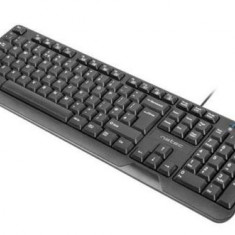 Tastatura Natec Trout Slim NKL-0967, USB (Negru)