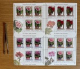 Zambetul ferestrelor, Muscatele, minicoli de 5 timbre si 1 vinieta 2017 LP 2169c