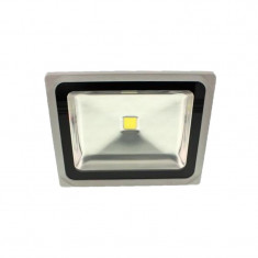 Proiector cu LED COB Well, 30 W, lumina rece foto