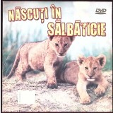 DVD: NASCUTI IN SALBATICIE-267755