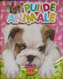 Pui de Animale - Album Abtibilduri Panini (2011) - Carte Copii, 64 Pagini