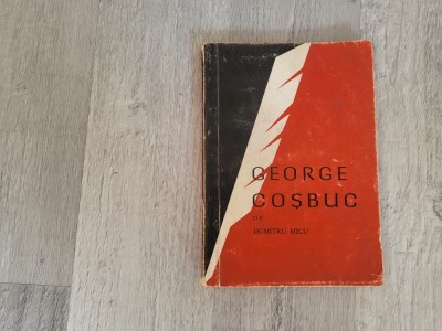 George Cosbuc de Dumitru Micu foto