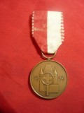 Medalie -Premiu Militar Sportiv Elvetia 1969 - Festival Federal TIR ,d=3,2cm, Europa