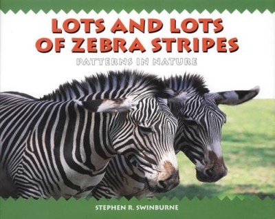 Lots and Lots of Zebra Stripes: Patterns in Nature foto