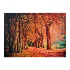 Tablou decorativ Autumn Park, 70 x 50 cm foto