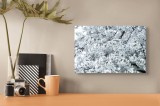 Tablou Canvas, "Primăvara &icirc;n floare albăstruie", Flori, Albe, Delicate, Primăvară, Abundență, Frumusețe, Naturalețe, Puritate, Prospețime, Vitalitate,