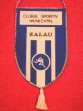 Fanion sportiv - Clubul Sportiv Municipal ZALAU