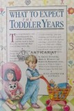 What To Expect The Toddler Years - 1996 - Morris Green ($S11)