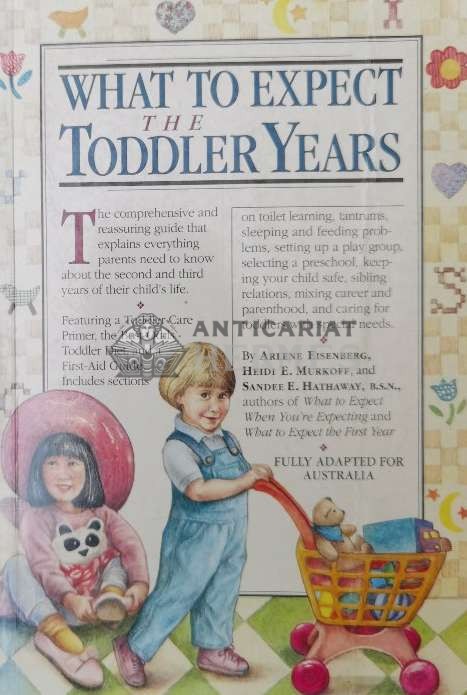 What To Expect The Toddler Years - 1996 - Morris Green ($S11)