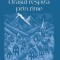 Orașul respiră prin rime - Tibu-Gelu B. - Editura Sens, Arad, 2025, brosata