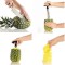 Feliator inox ananas