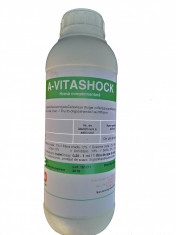 Complex de vitamine si aminoacizi esentiali, A-VITASHOCK, 1l foto