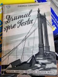 Gheorghi Cubanschi - Drumul spre Pesta