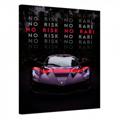 Tablou Canvas, Tablofy, No Risk No Rari, Printat Digital, 50 × 70 cm