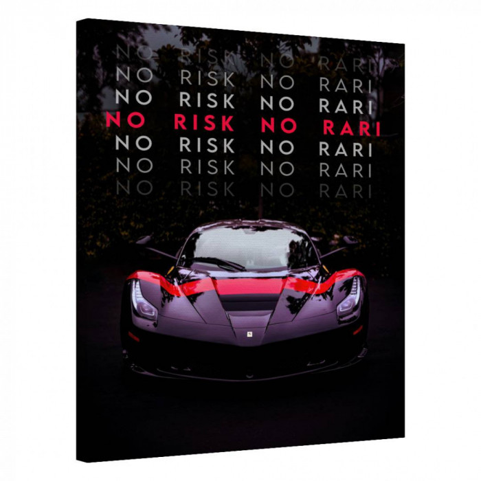 Tablou Canvas, Tablofy, No Risk No Rari, Printat Digital, 90 &times; 120 cm