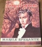 LITR23 Charles Dickens - Marile sperante