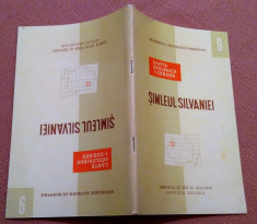 Simleul Silvaniei. Nota explicativa Institutul Geologic, 1968 - Nu contine harta foto