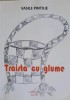 Traista cu Glume - Vasile Pintilie - Carte Copii, Povesti, 2016, Editura PIM, 107 pagini, limba romana