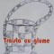TRAISTA CU GLUME-VASILE PINTILIE-210067