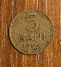 5 bani 1955, RPR / Romania foto