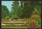 CPIB 22970 - CARTE POSTALA - BUZIAS. VEDERE DIN PARC