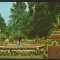 CPIB 22969 - CARTE POSTALA - BUZIAS. VEDERE DIN PARC