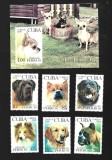 cuba caini mnh