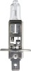 Set 2 Becuri Auto H1 55W 12V Philips EcoVision Long Life