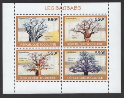 TOGO 2010 ARBORI COPACI BAOBABI foto