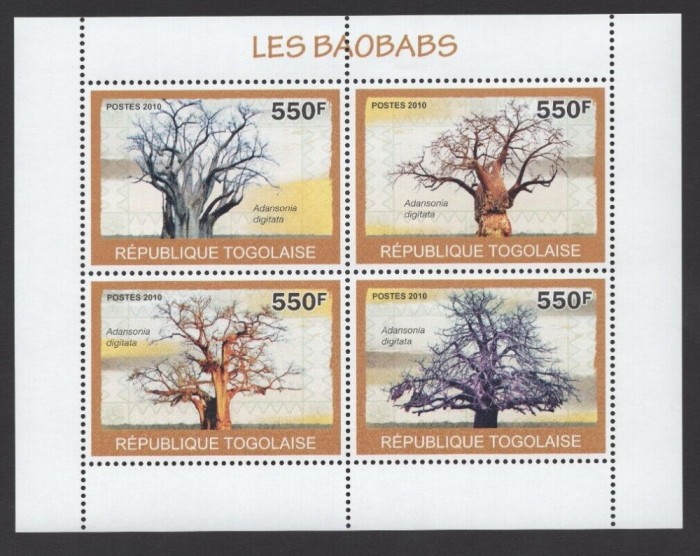 TOGO 2010 ARBORI COPACI BAOBABI