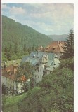 Carte Postala veche -Sinaia - Vedere , necirculata