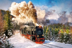 Puzzle Castorland - Steam Train 1000 piese foto