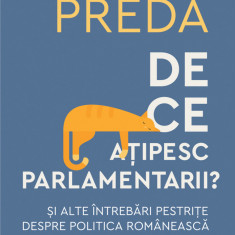 De ce ațipesc parlamentarii? Şi alte întrebări pestriţe despre politica românească (ebook)