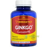 Ginkgo Curcumin 95 120cps